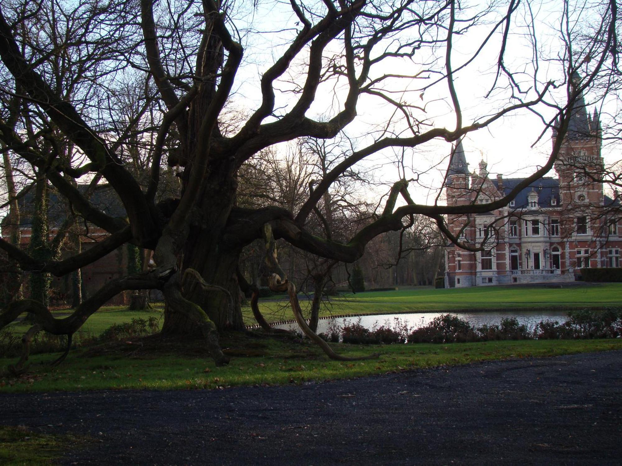 B&B Sogni D'Oro Lovendegem 외부 사진