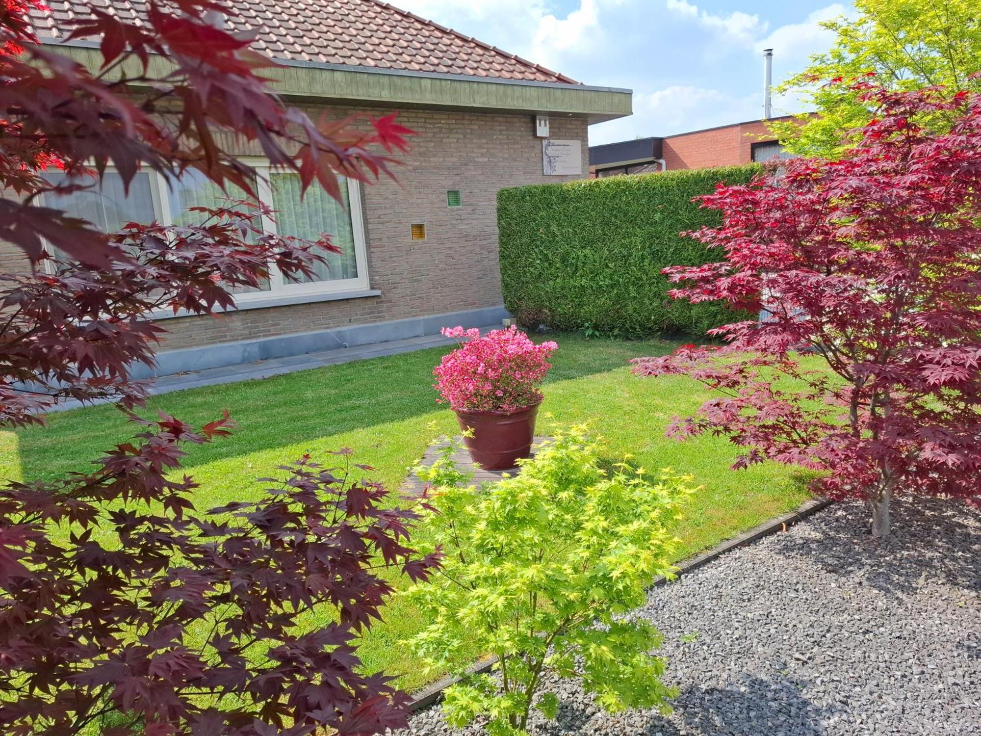 B&B Sogni D'Oro Lovendegem 외부 사진